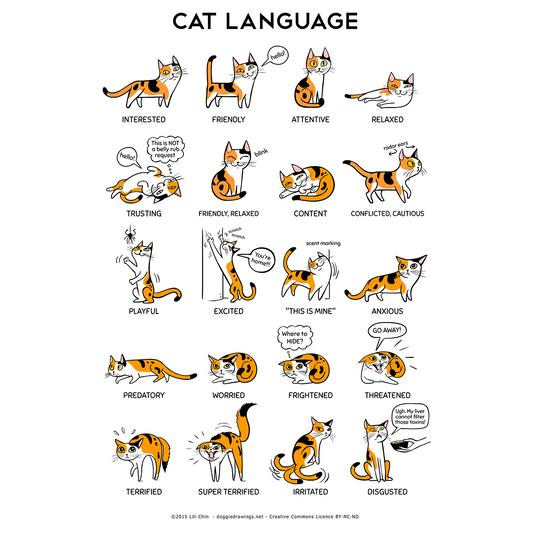 Cat Language