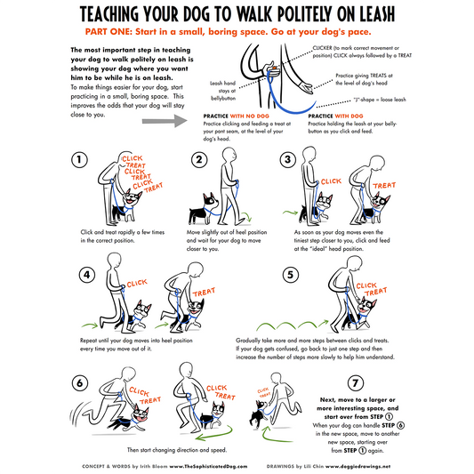 Teaching Your Dog to Walk Politely On Leash - Parts 1 & 2