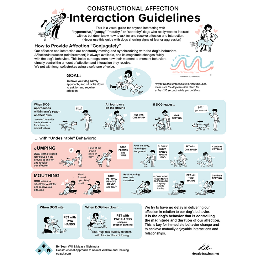 Constructional Affection Interaction Guidelines – Lili Chin Art Inc