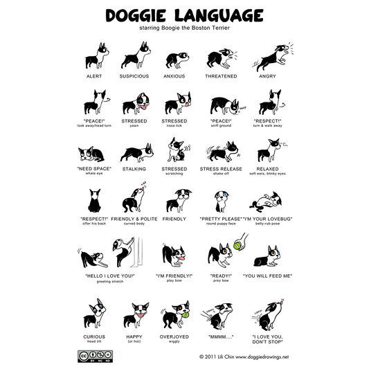 Doggie Language