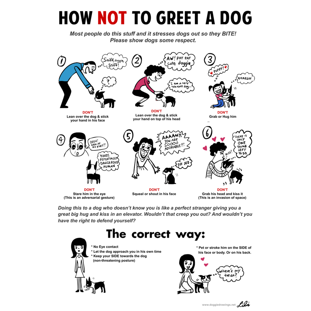 How Not To Greet A Dog – Lili Chin Art Inc