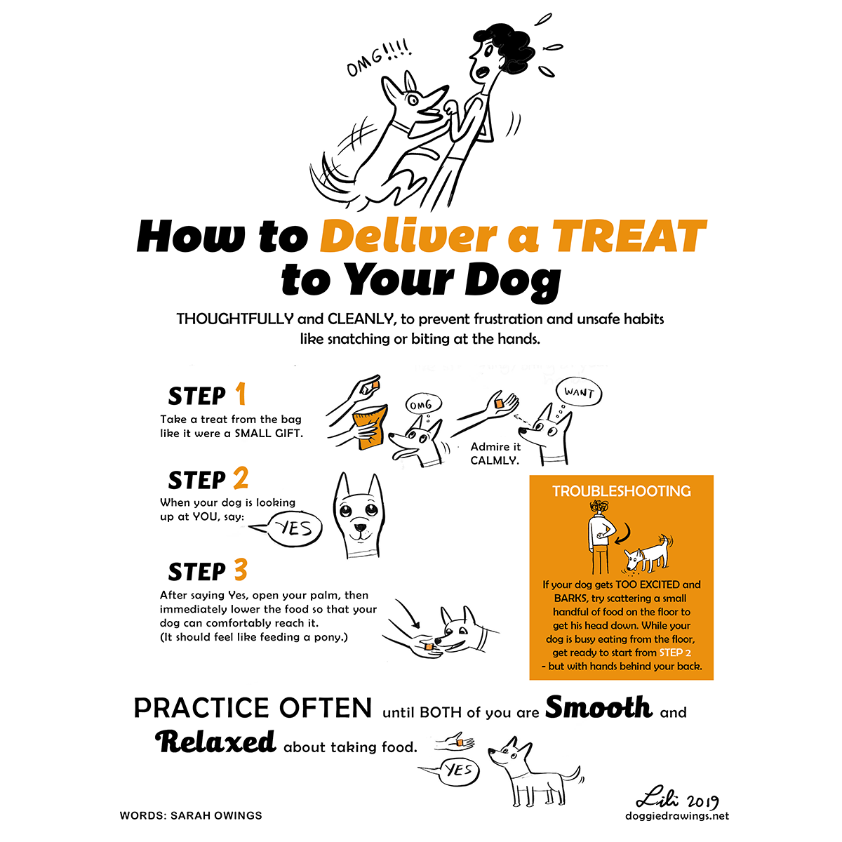 How To Deliver A Treat To Your Dog