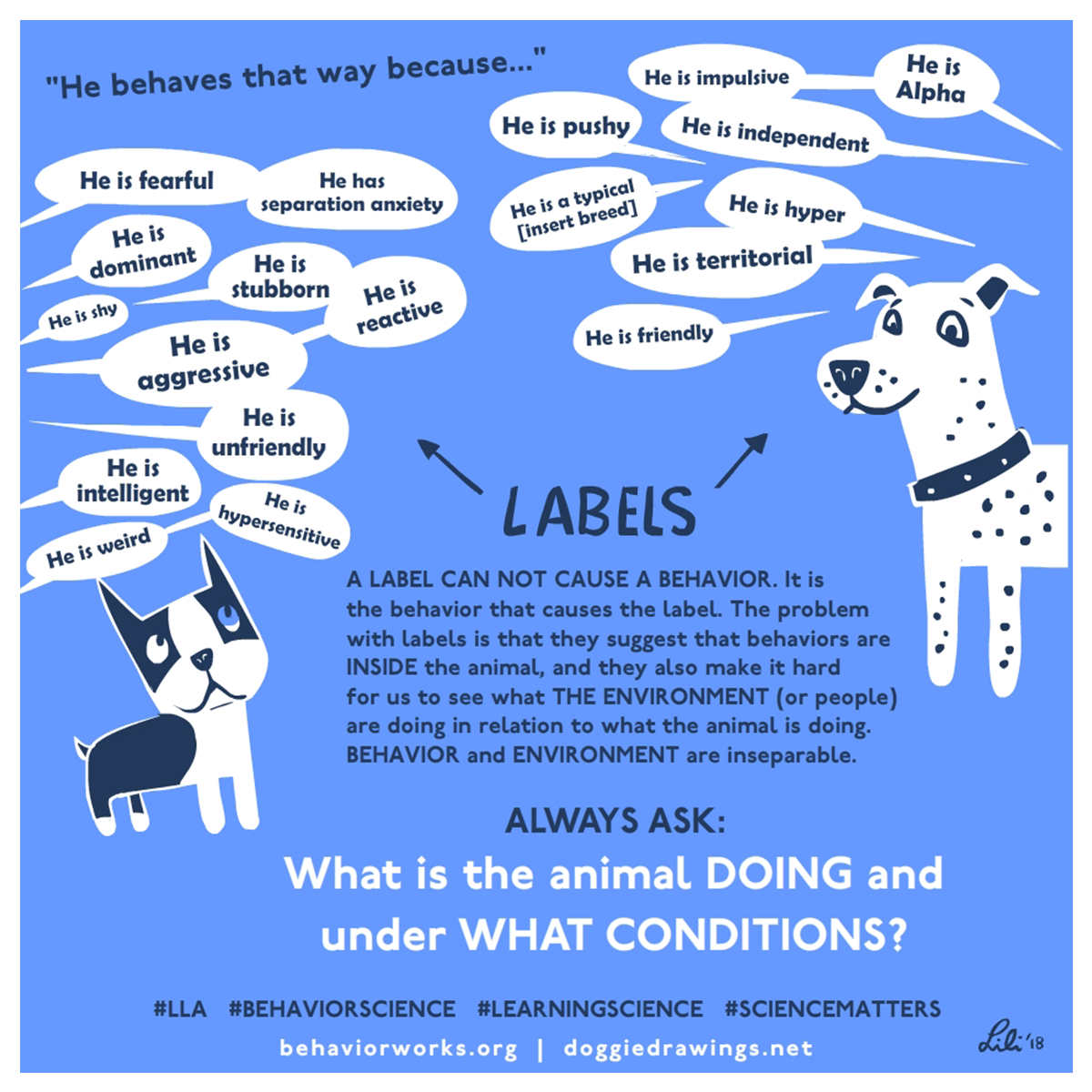 The Problem with Labels