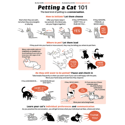 Petting a Cat 101