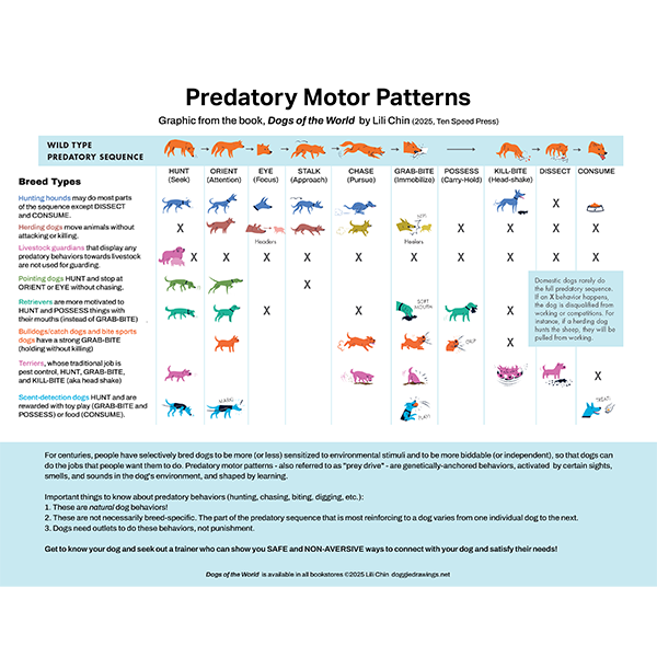 Predatory Motor Patterns (Dogs) – Lili Chin Art Inc