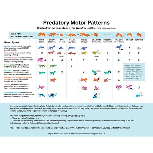 Predatory Motor Patterns (Dogs)