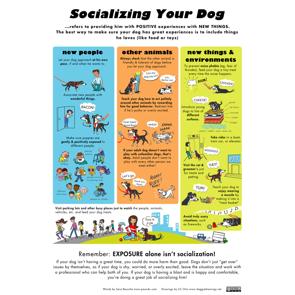 Scializing Socializing Your Dog – Lili Chin Art Inc