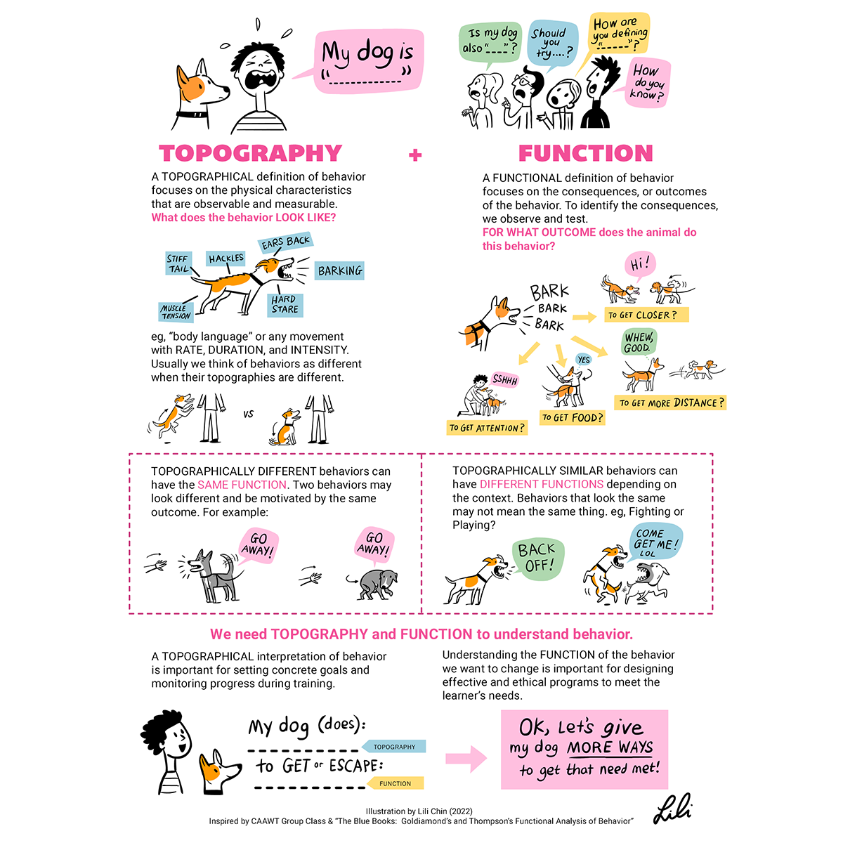 Topography and Function