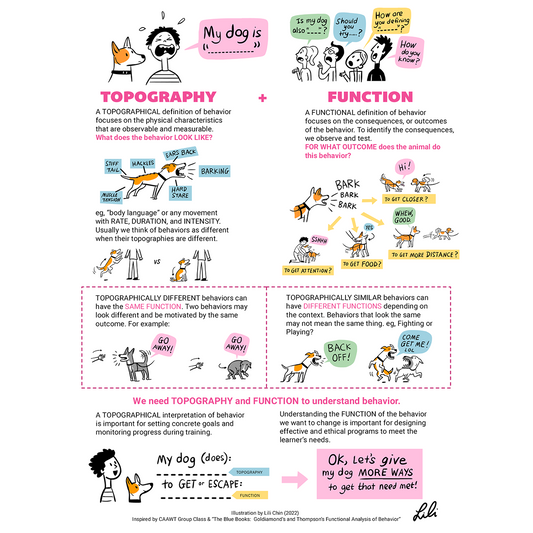 Topography and Function