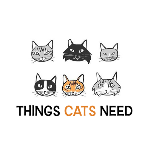 Things Cats Need - booklet