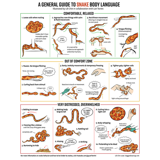 Snake Body Language