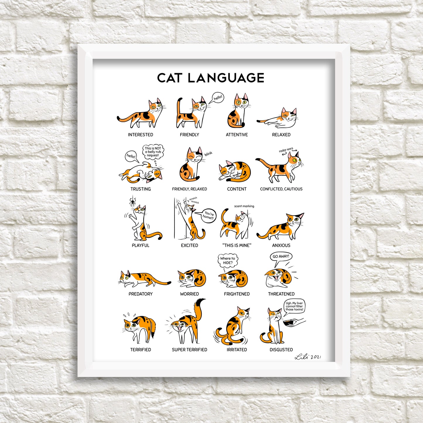 CAT LANGUAGE Print