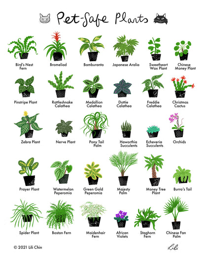 Pet-Safe Plants print