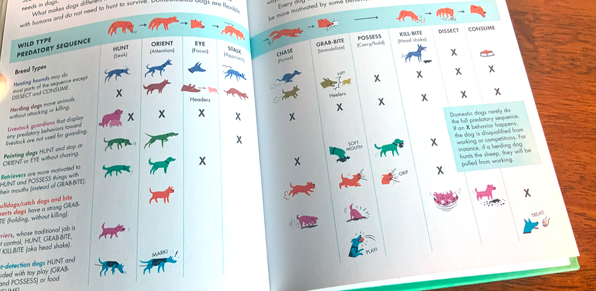 Raking Motor Pattern Predatory Motor Patterns (Dogs) – Lili Chin Art Inc