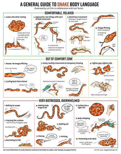 Snake Body Language