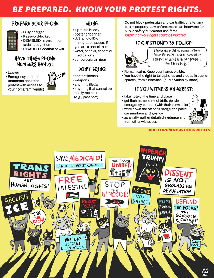 Know Your Protest Rights – Lili Chin Art Inc
