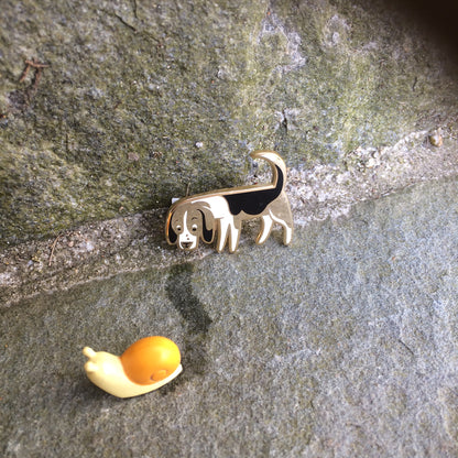 BEAGLE Pin