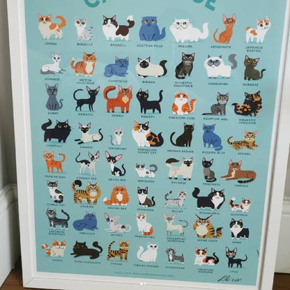 CATALOGUE Cats Poster