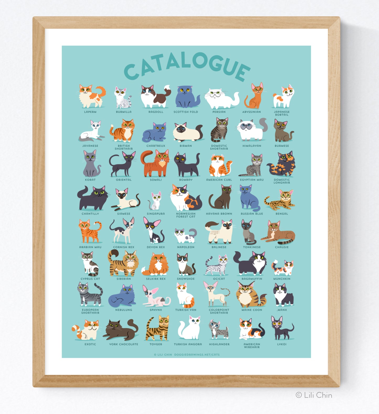 CATALOGUE Cats Poster