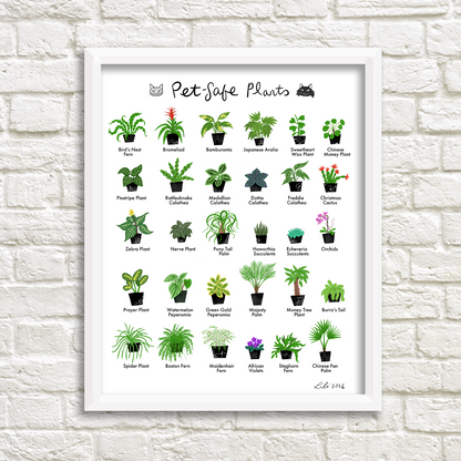 Pet-Safe Plants print
