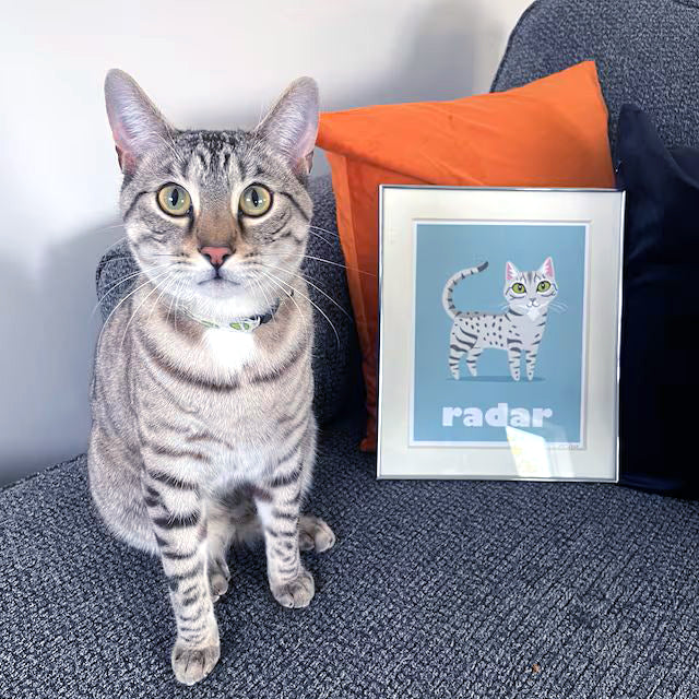 CUSTOM PET PRINT