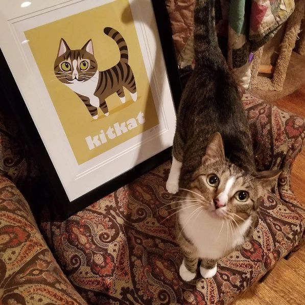 CUSTOM PET PRINT