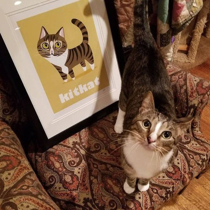 CUSTOM PET PRINT